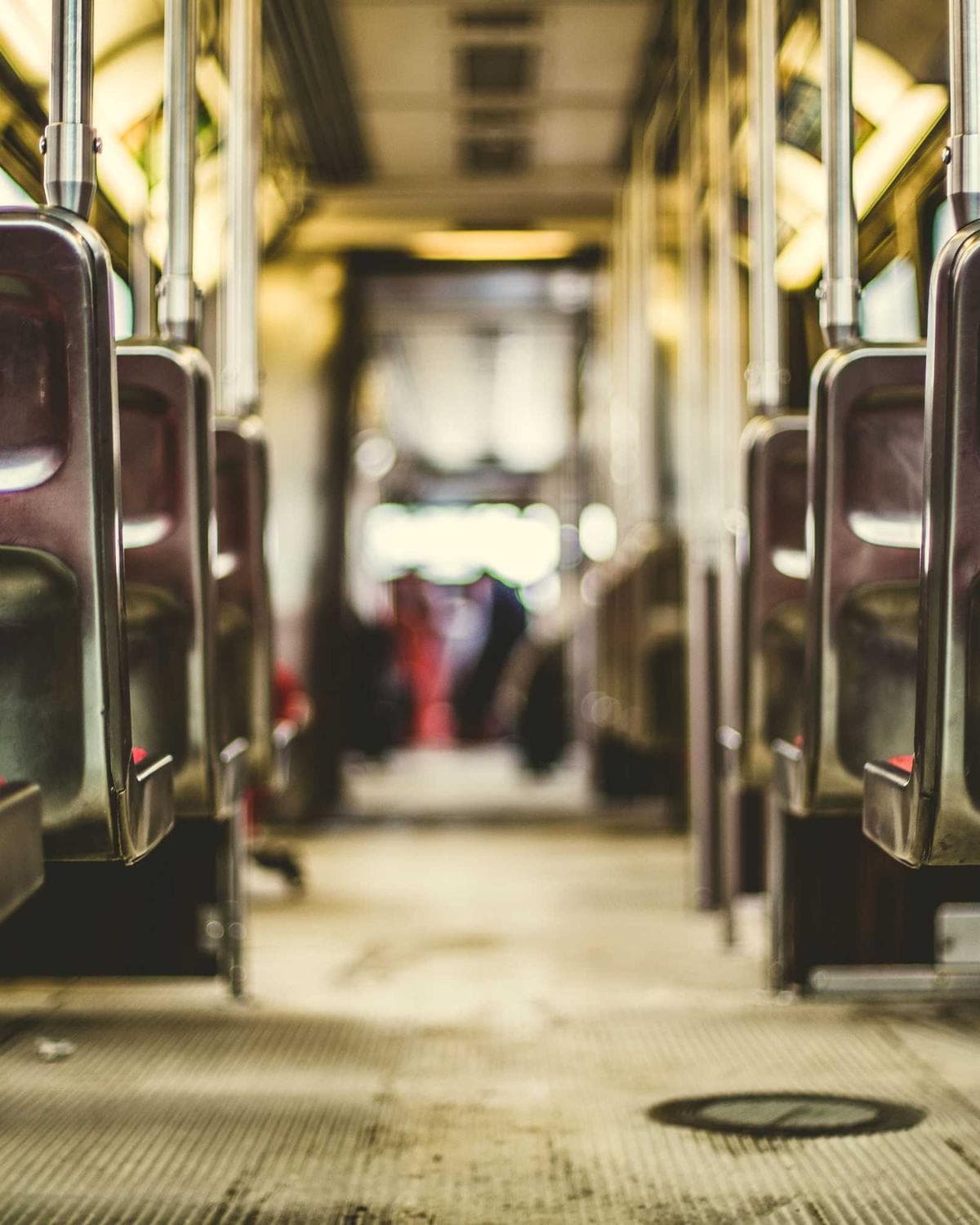 Pérgola integrada en jardín