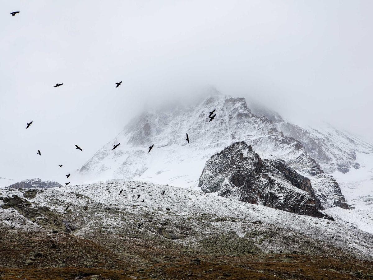 Restaurante con cerramiento